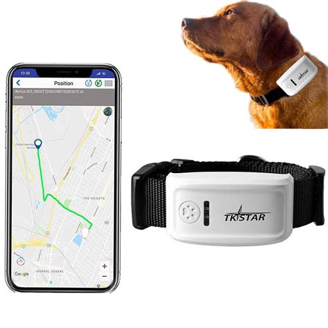 rfid pet tracker|tractive gps pet tracking.